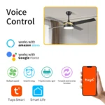 DC Motor HC552 Big 3 Blades Iron ABS 52 Inches Remote APP Control Timing Set Light LED Ceiling Fan