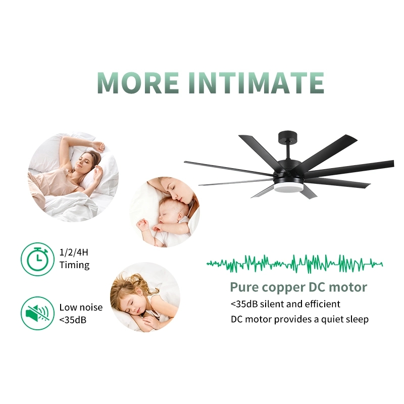 New Design Remote Control Modern Style Cheap Ceiling Fan with Light